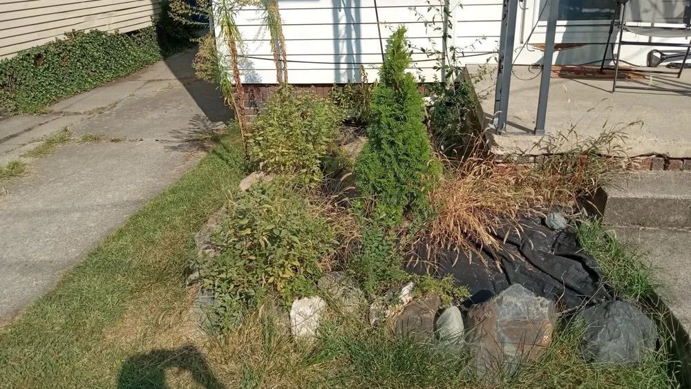 Professional yard cleanup service in Toledo, OH - The Lawn Guyz