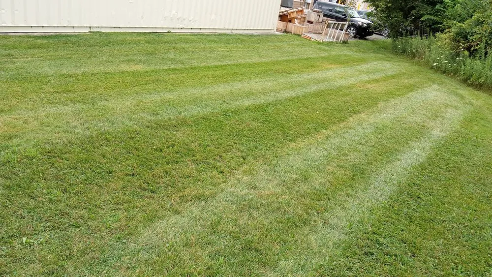 Professional yard cleanup service experts serving Toledo, OH - The Lawn Guyz