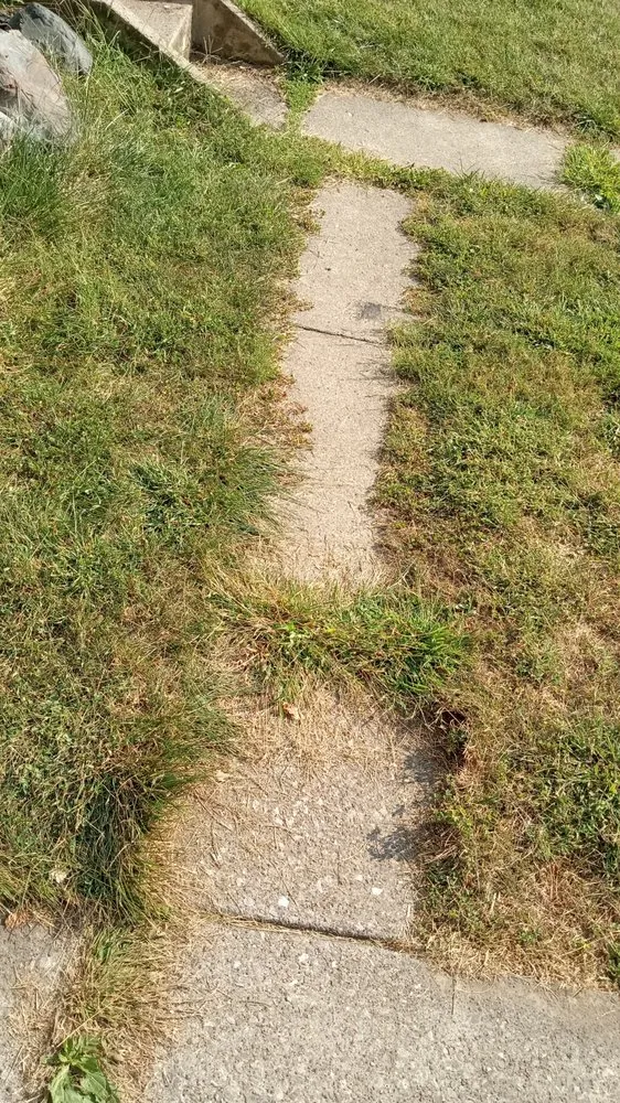 Professional landscape installation experts serving Toledo, OH - The Lawn Guyz