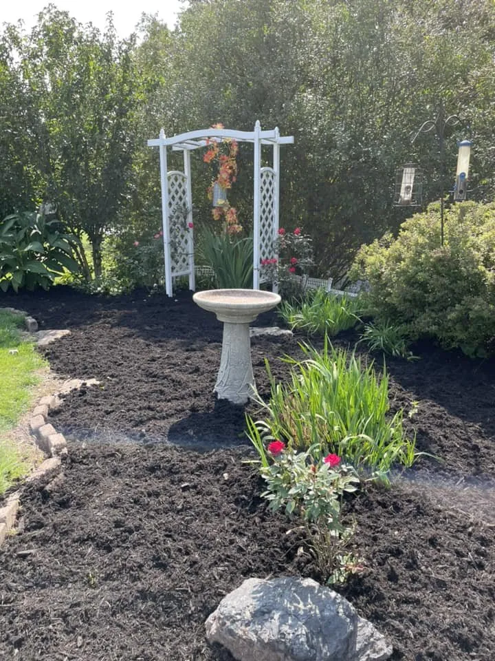 Custom yard cleanup service experts serving New Ringgold, PA - The Lawn Helpers