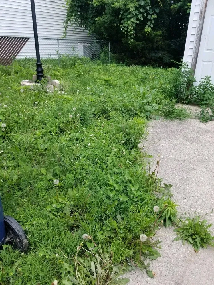 Affordable outdoor landscaping in Lincoln Park, MI by The Lawn Hero