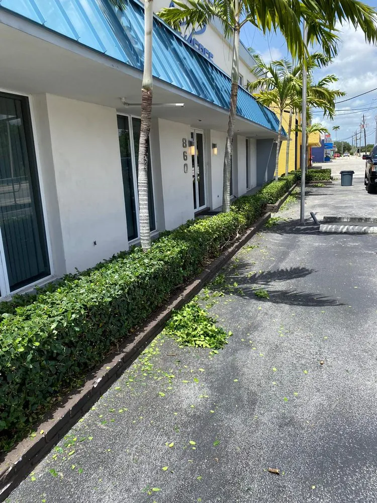 Expert residential landscaping in Homestead, FL - The Lawn King Landscaping