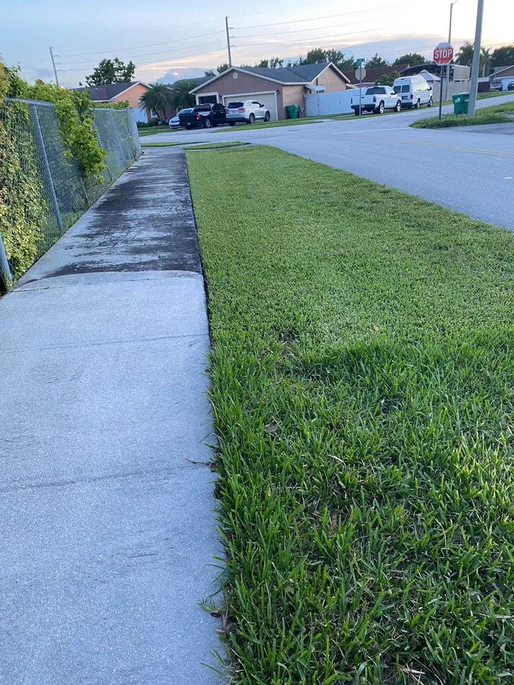 Affordable residential landscaping for year-round maintenance in Homestead, FL by The Lawn King Landscaping
