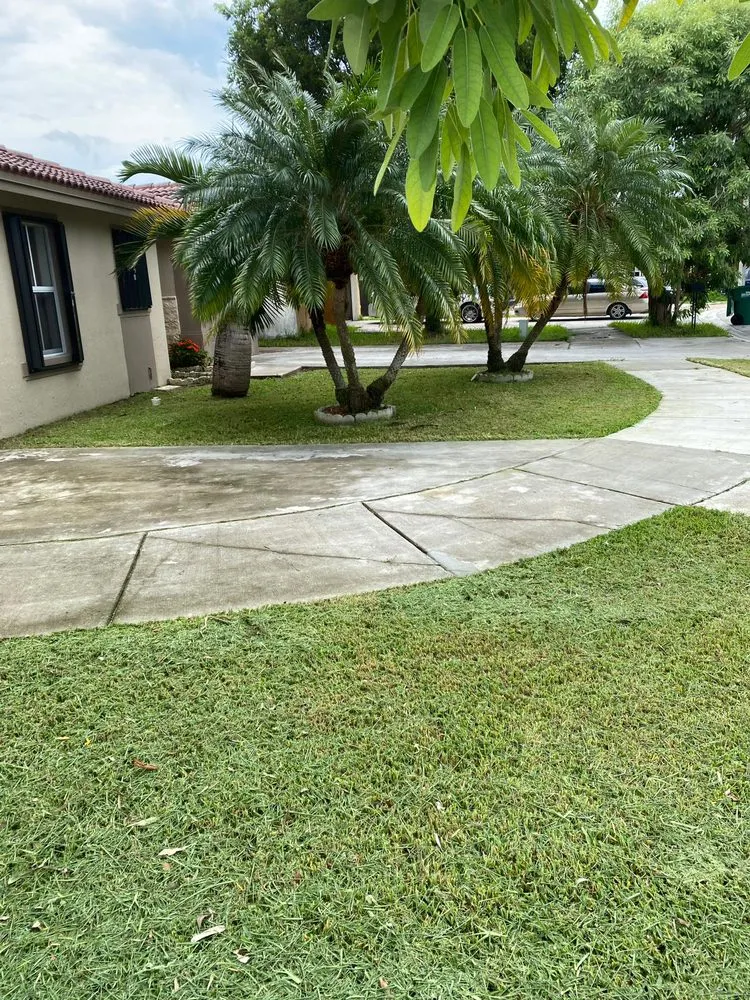Expert lawn mowing service in Homestead, FL - The Lawn King Landscaping