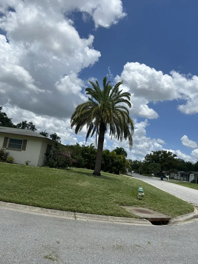 Top-rated landscaping services in Sarasota, FL by The Lawn Lady