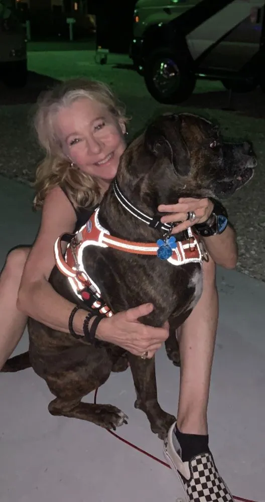 Top-rated lawn care service in Sarasota, FL - The Lawn Lady