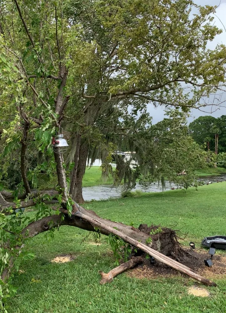 Custom residential landscaping experts serving Sarasota, FL - The Lawn Lady