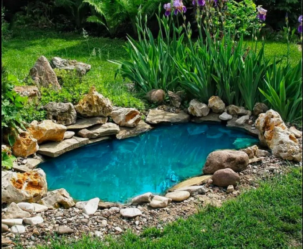 Local landscape installation in Sarasota, FL by The Lawn Lady