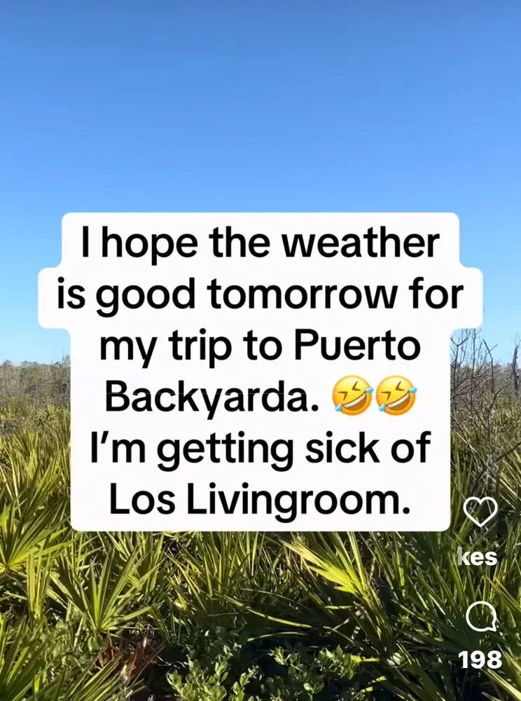 Trusted garden landscaping for homes in Sarasota, FL by The Lawn Lady