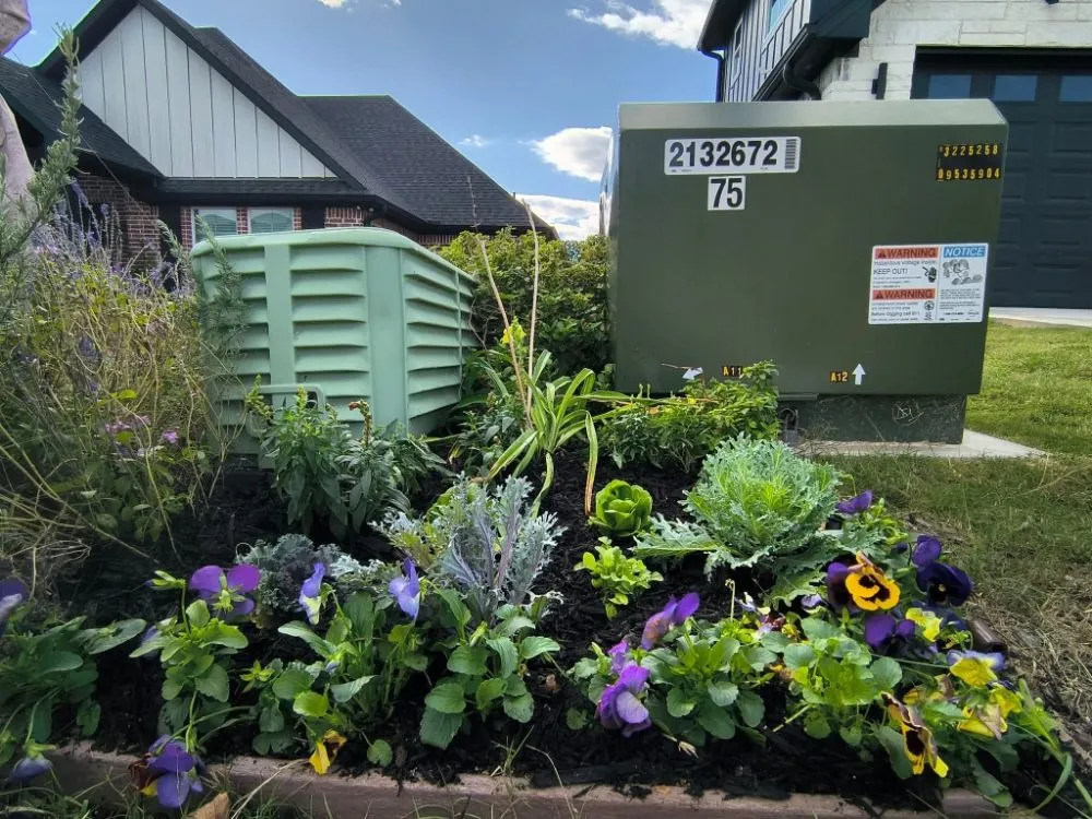 Local yard maintenance for outdoor upgrades across Tyler, TX - The Lawn Lady