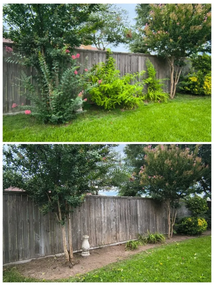 Professional residential landscaping for beautiful yards across Tyler, TX - The Lawn Lady