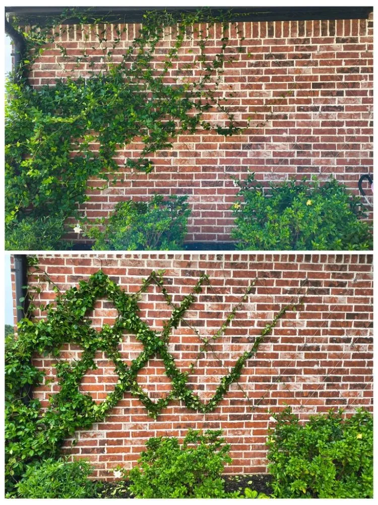 Trusted garden landscaping in Tyler, TX by The Lawn Lady