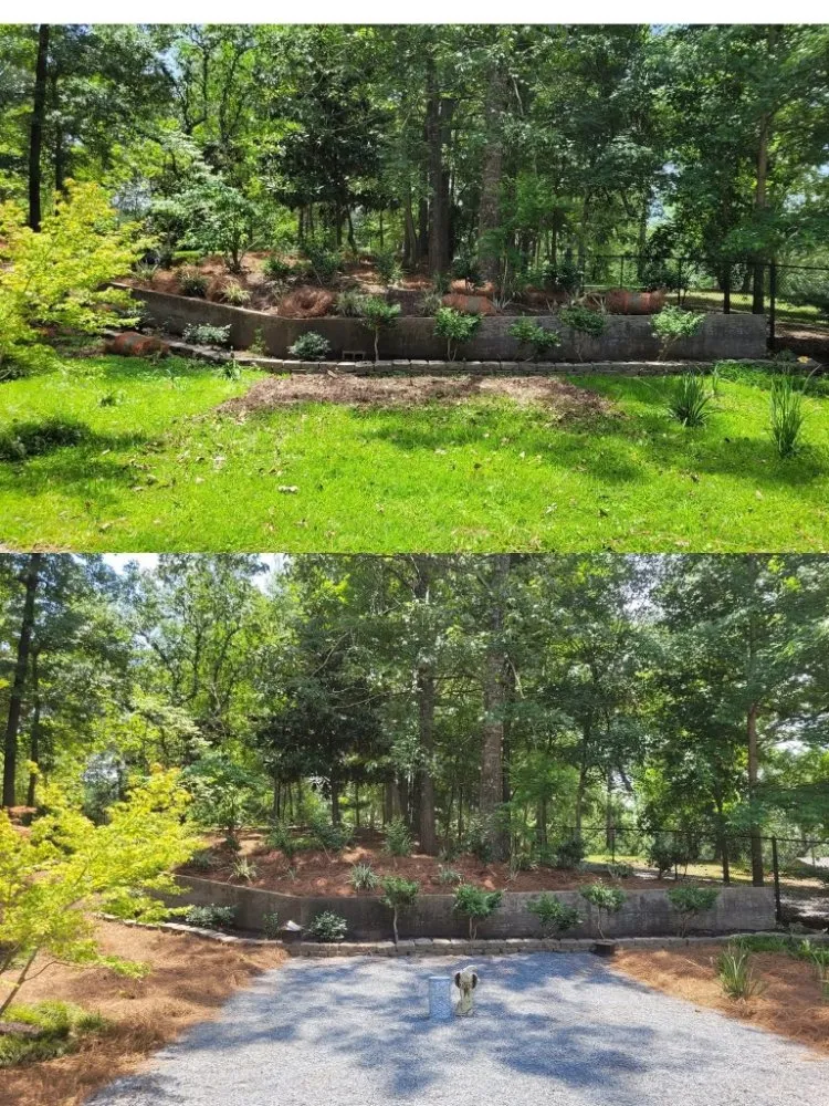 Top-rated landscape installation for residential properties in Tyler, TX by The Lawn Lady
