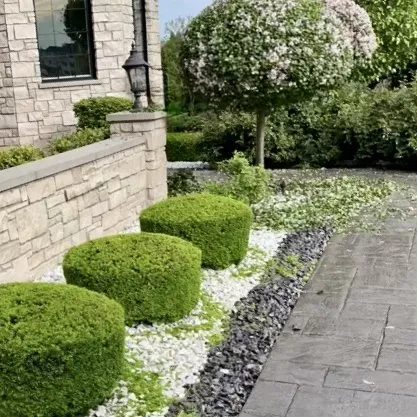 Expert yard maintenance with custom design across Minooka, IL - The Lawn Landscaping