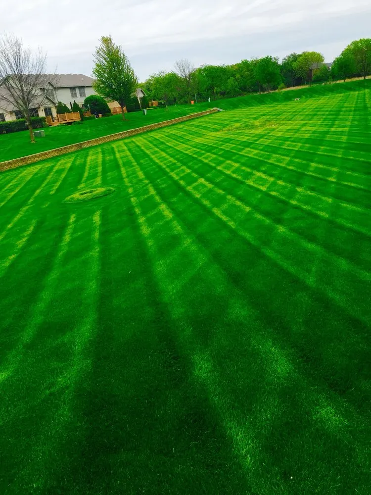 Top-rated landscaping services in Minooka, IL - The Lawn Landscaping