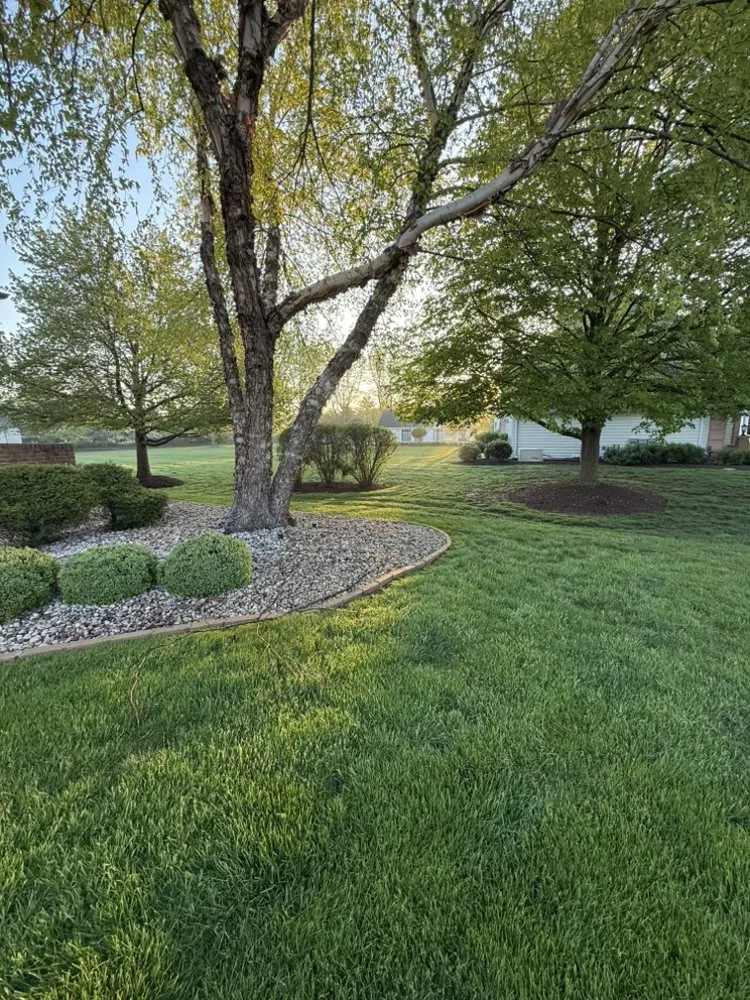 Top-rated yard cleanup service in Minooka, IL - The Lawn Landscaping