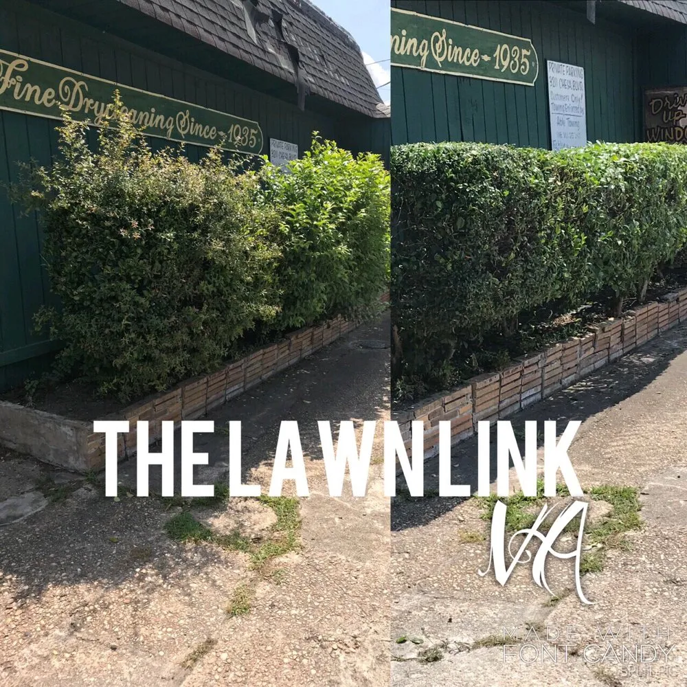 Top-rated lawn care service experts serving Virginia Beach, VA - The Lawn Link VA