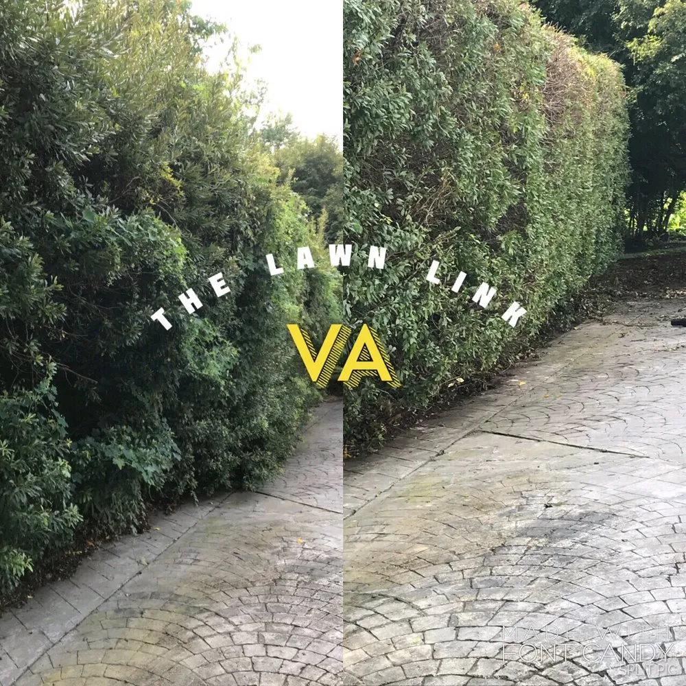 Reliable residential landscaping for homes across Virginia Beach, VA - The Lawn Link VA