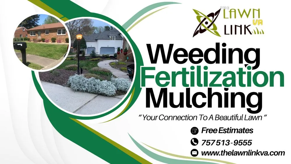 Trusted landscaping services in Virginia Beach, VA - The Lawn Link VA