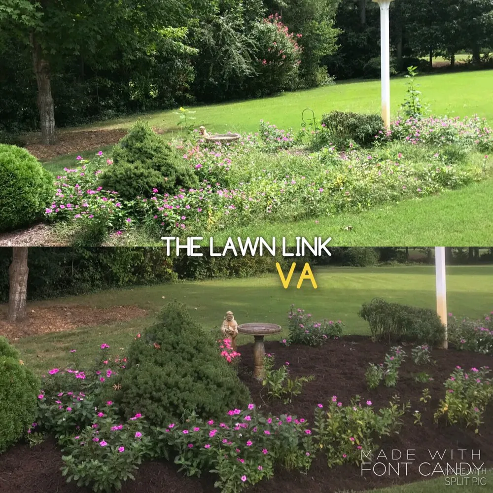 Custom lawn care service in Virginia Beach, VA - The Lawn Link VA