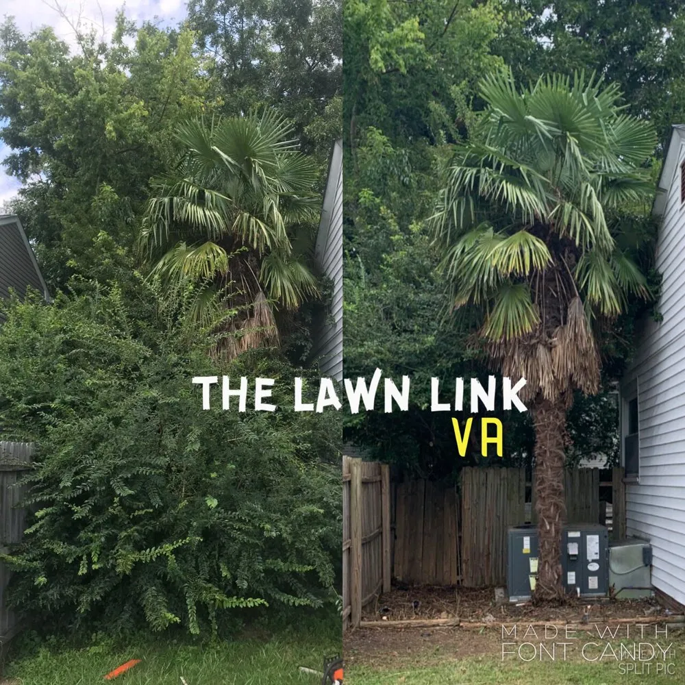 Reliable lawn mowing service in Virginia Beach, VA by The Lawn Link VA