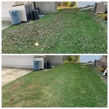 Affordable lawn care service in Sacramento, CA by The Lawn Lord