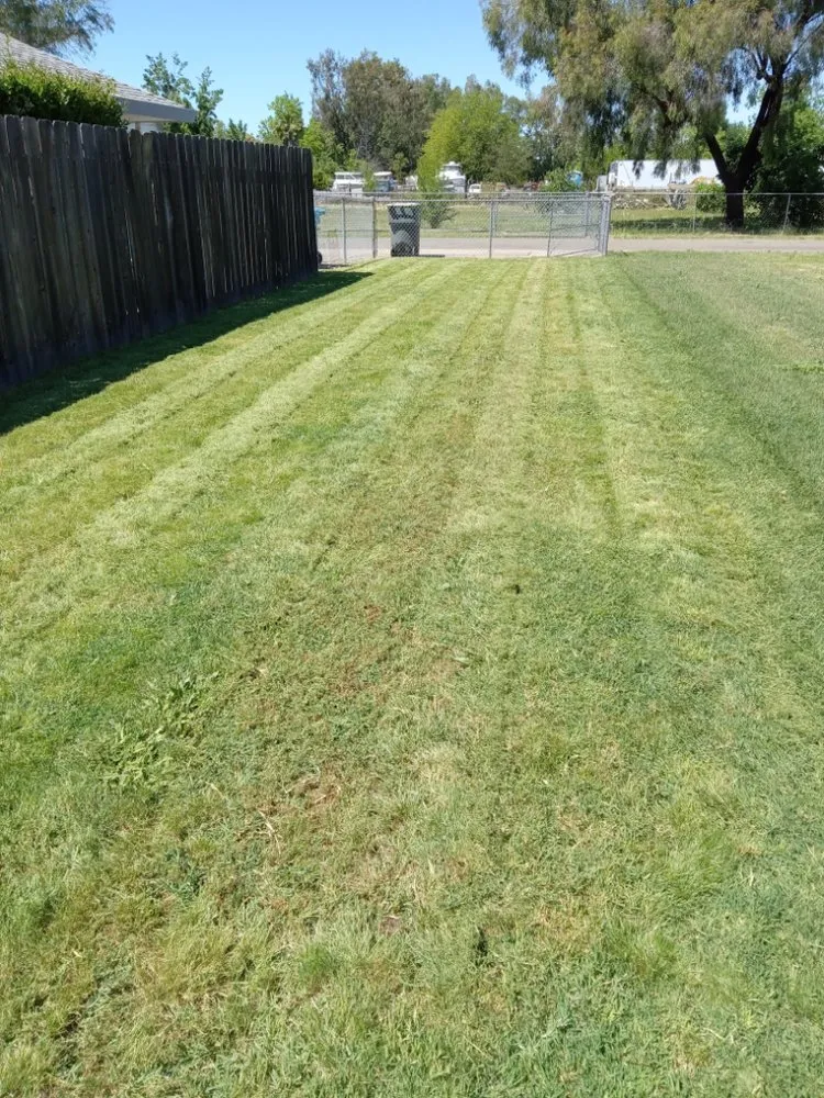 Custom landscaping services in Sacramento, CA - The Lawn Lord
