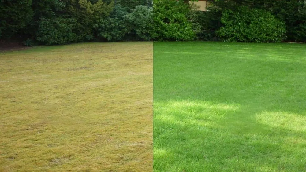 Affordable outdoor landscaping with custom design across Sacramento, CA - The Lawn Lord