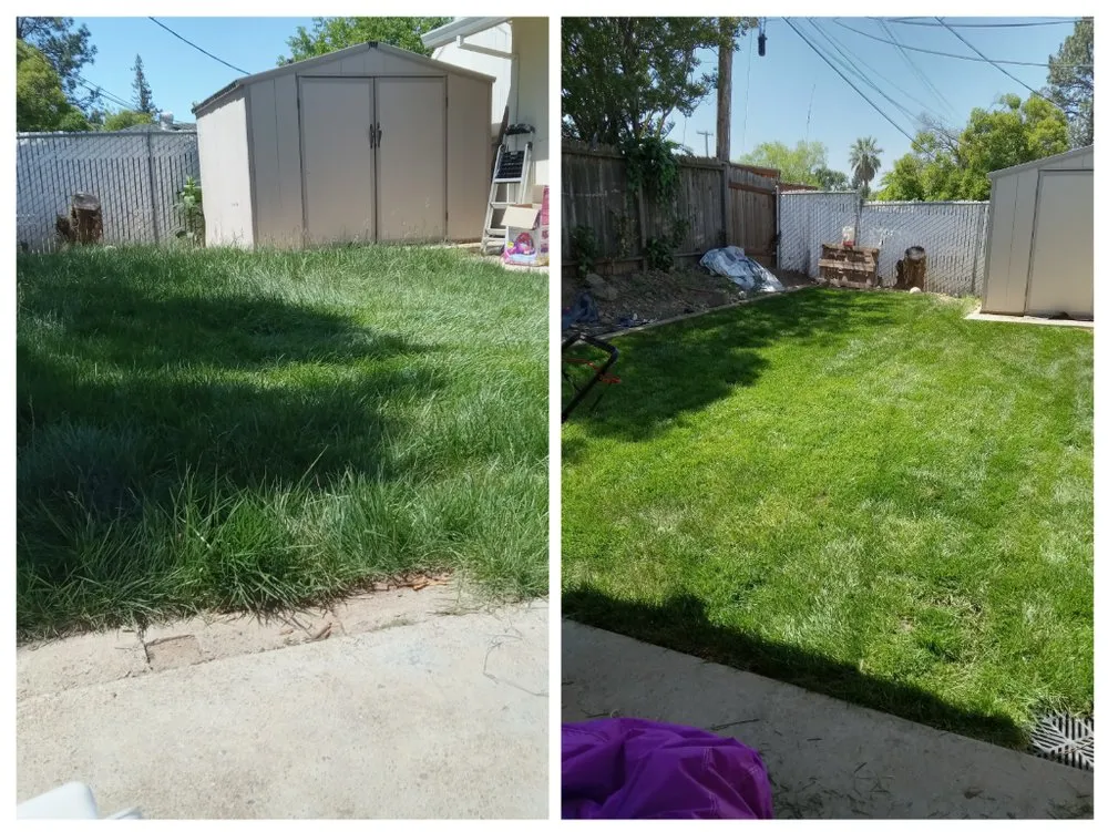 Reliable lawn care service for outdoor upgrades across Sacramento, CA - The Lawn Lord