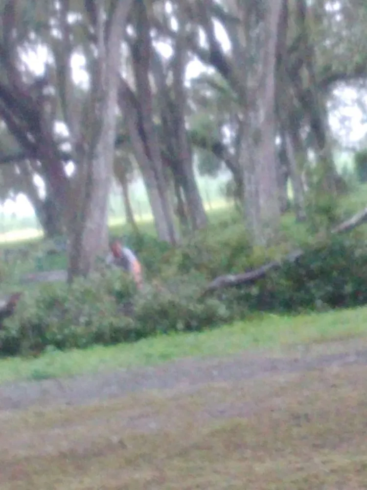 Affordable yard maintenance in Brooksville, FL - The Lawn Master