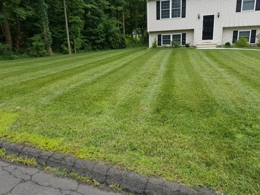 Local outdoor landscaping for outdoor upgrades across Wallingford, CT - The Lawn Master