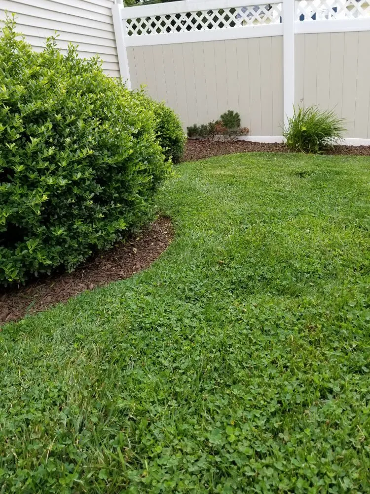 Trusted yard maintenance experts serving Wallingford, CT - The Lawn Master