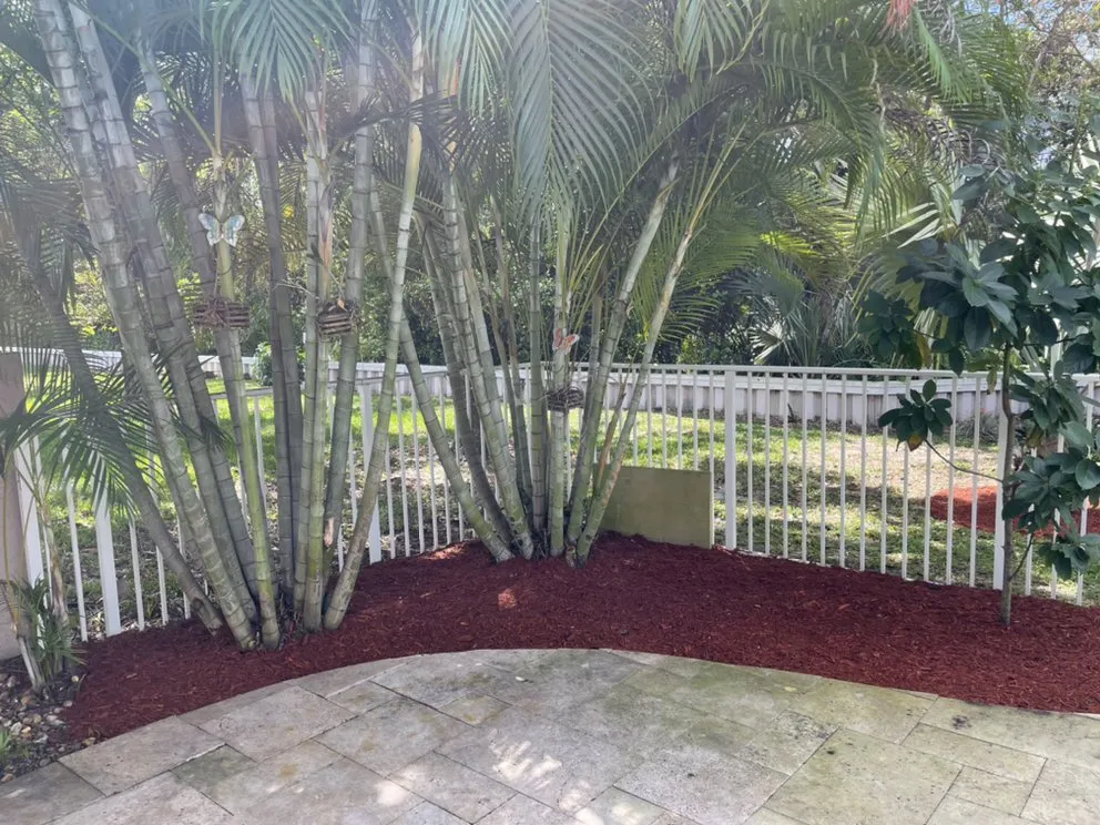 Affordable landscaping services in North Lauderdale, FL - The Lawn Monster