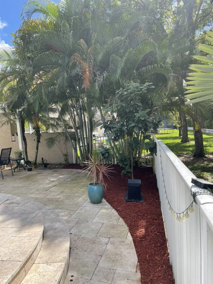 Professional landscape installation in North Lauderdale, FL - The Lawn Monster