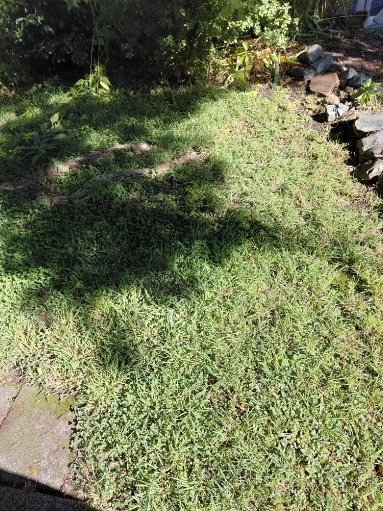 Reliable landscaping services in Ashland, OR by The Lawn Mowers