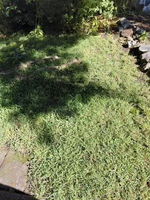 The Lawn Mowers Logo