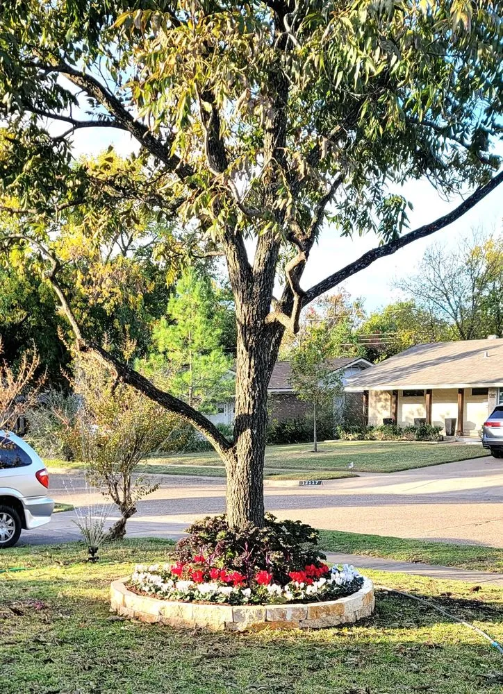 Top-rated landscape design for outdoor upgrades in Dallas, TX by The Lawn Mowgul