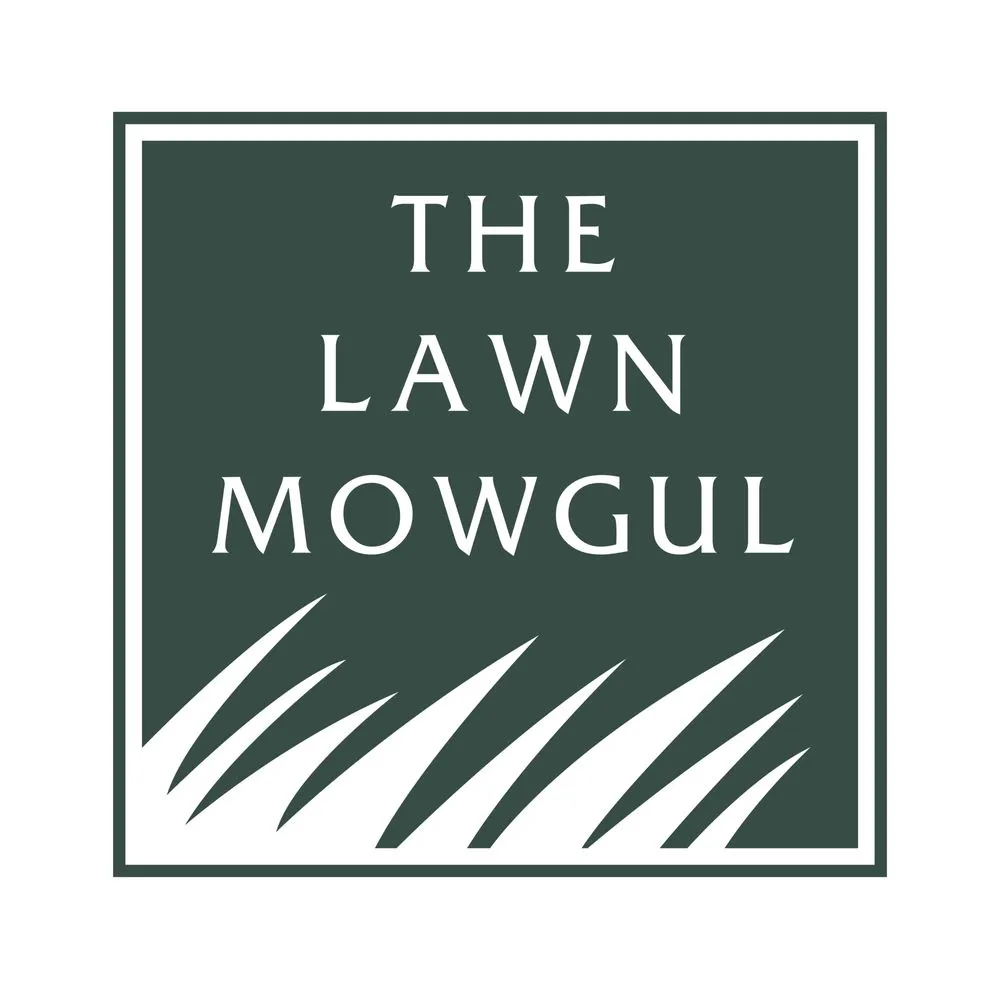 Top-rated yard maintenance for year-round maintenance in Dallas, TX by The Lawn Mowgul