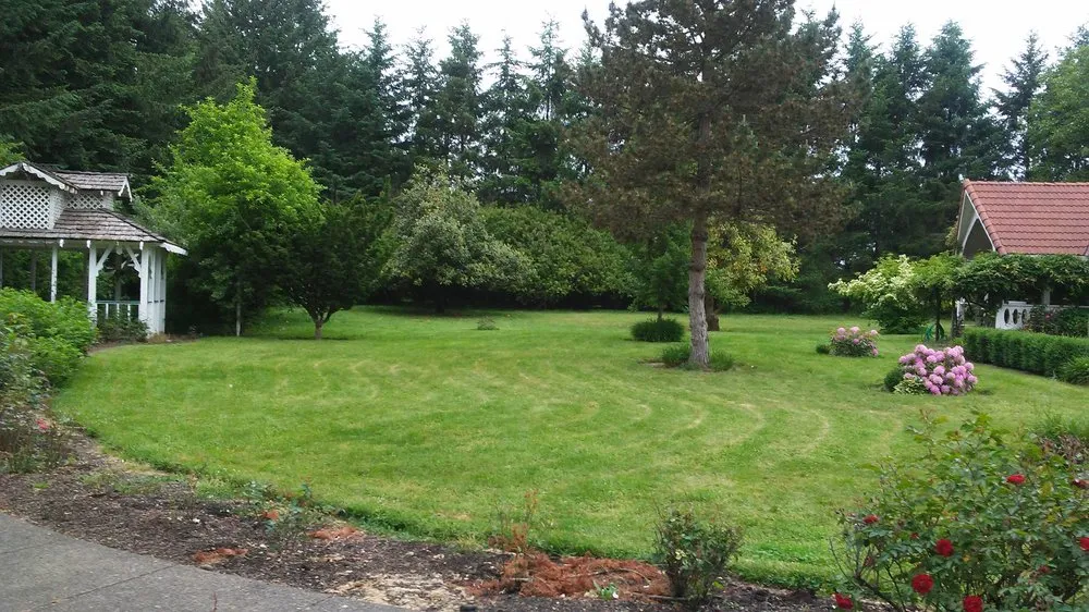 Affordable landscape installation in Eugene, OR - The Lawn Ninja