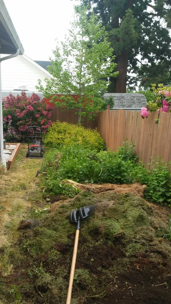 Top-rated yard cleanup service in Eugene, OR - The Lawn Ninja