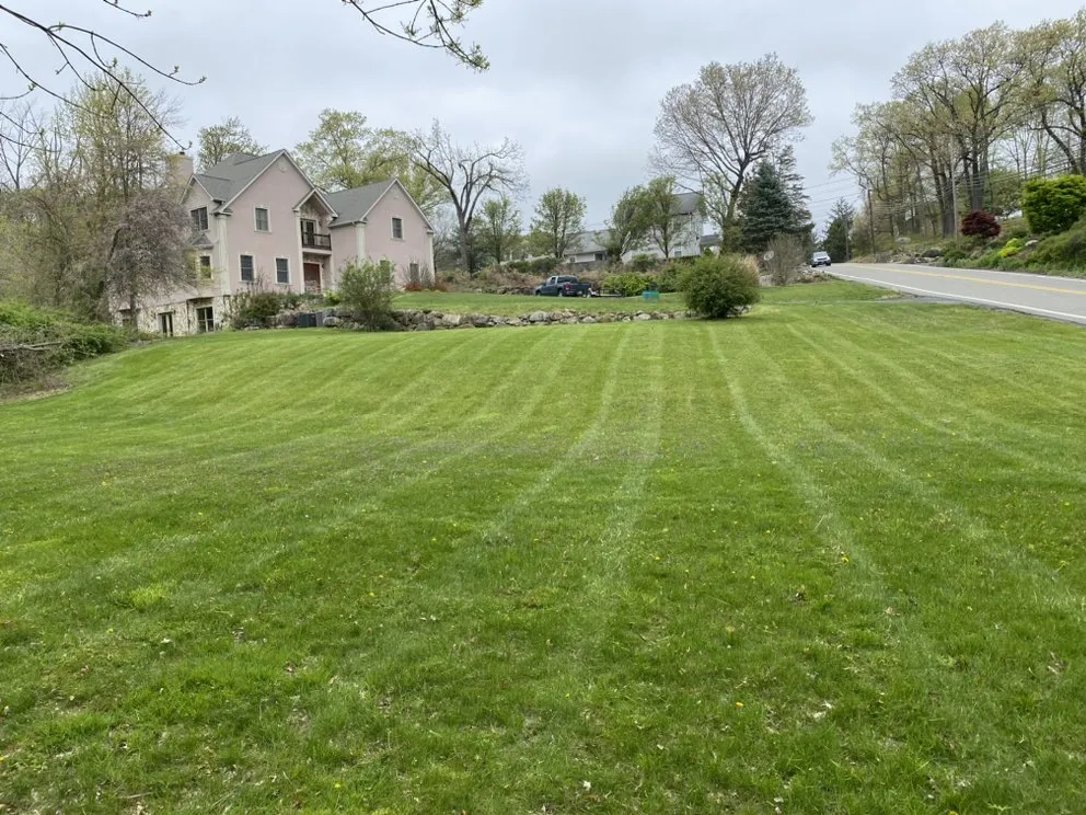 Reliable landscaping services for homes across Rockaway, NJ - The Lawn Offices of P&T