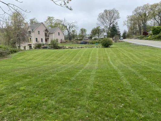 The Lawn Offices of P&T