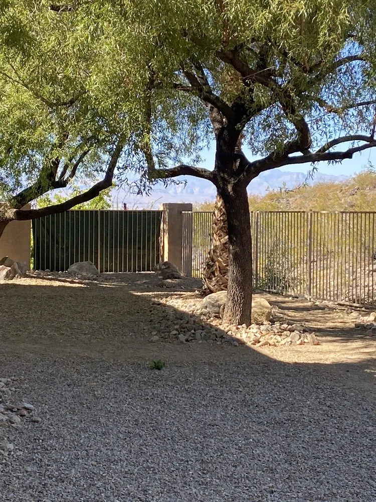 Custom landscape installation for outdoor upgrades across Las Vegas, NV - The Lawn Patrol