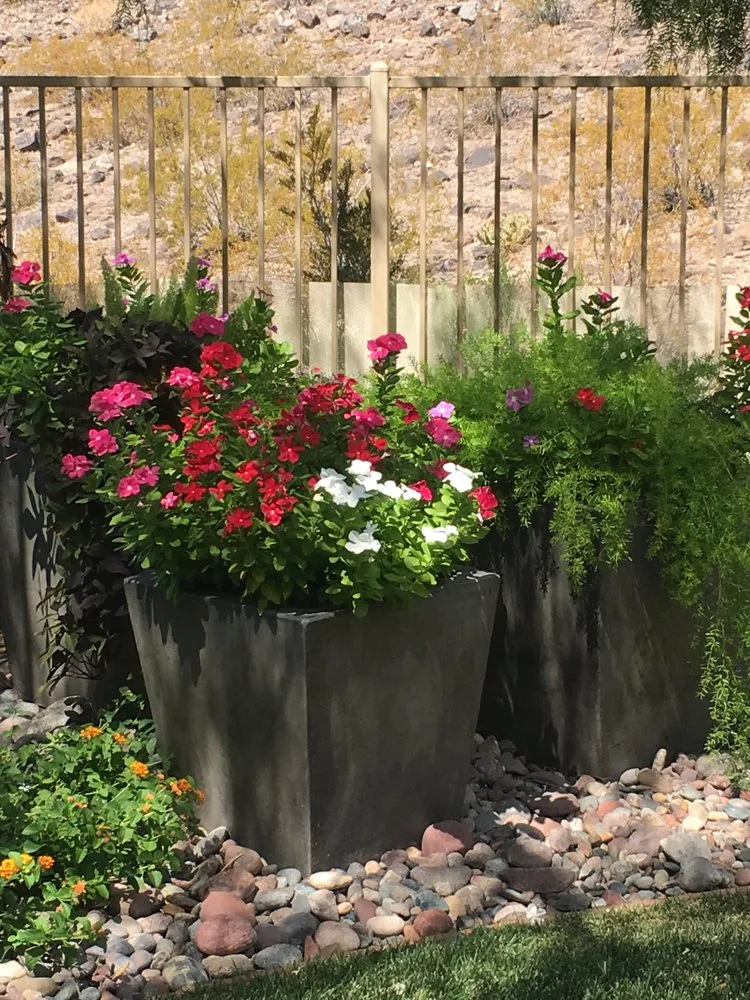 Professional outdoor landscaping with custom design in Las Vegas, NV by The Lawn Patrol