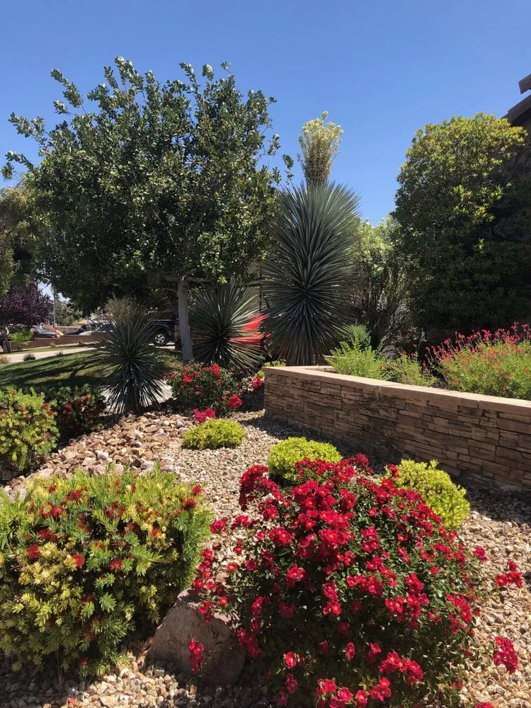 Local lawn care service for year-round maintenance across Las Vegas, NV - The Lawn Patrol