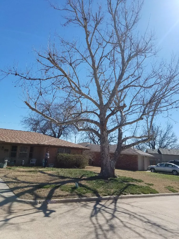 Top-rated yard cleanup service for year-round maintenance across Yukon, OK - The Lawn Pro OKC