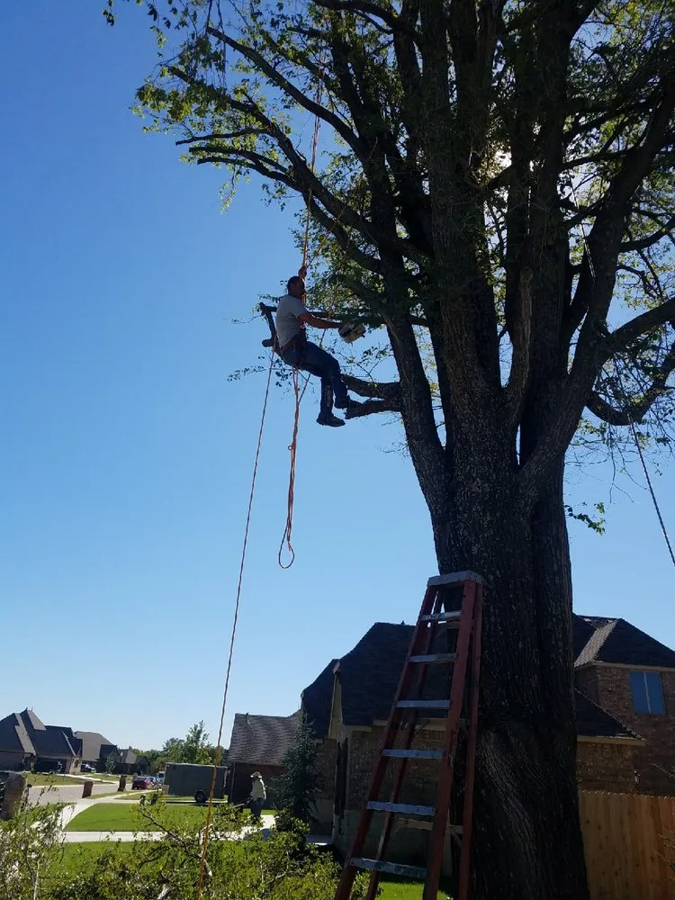 Top-rated lawn care service experts serving Yukon, OK - The Lawn Pro OKC