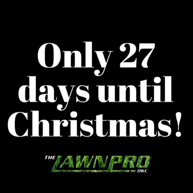 Local yard cleanup service for outdoor upgrades across Yukon, OK - The Lawn Pro OKC