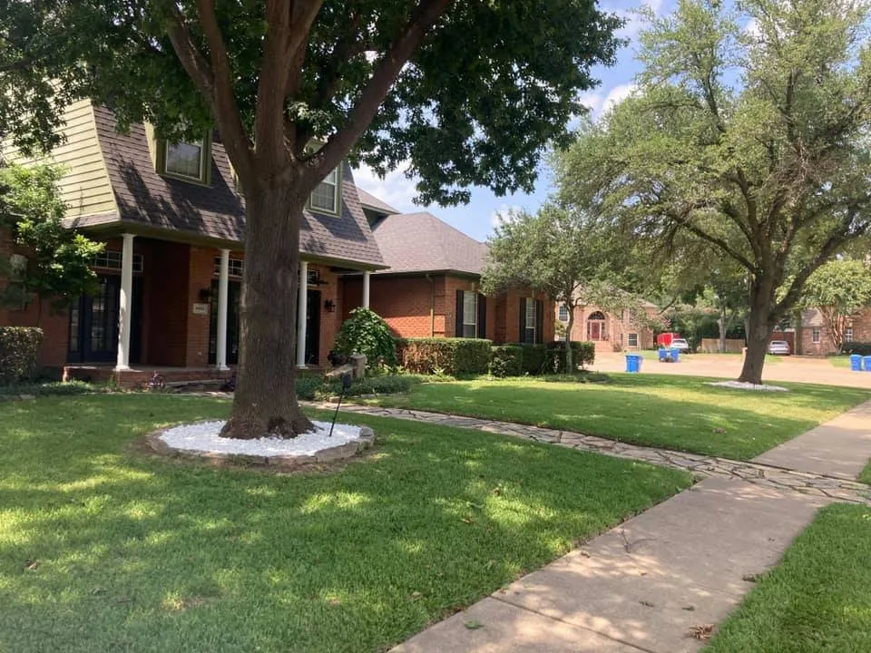 Trusted yard maintenance in Dallas, TX by The Lawn Pros