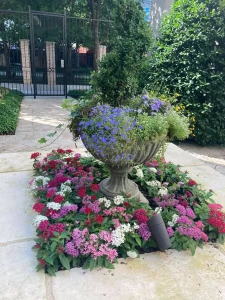 Trusted garden landscaping with custom design in Dallas, TX by The Lawn Pros